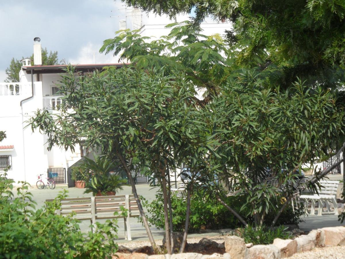 Azienda Agrituristica Masseria Campi ซานวีโต เดย์ นอร์มานนี ภายนอก รูปภาพ