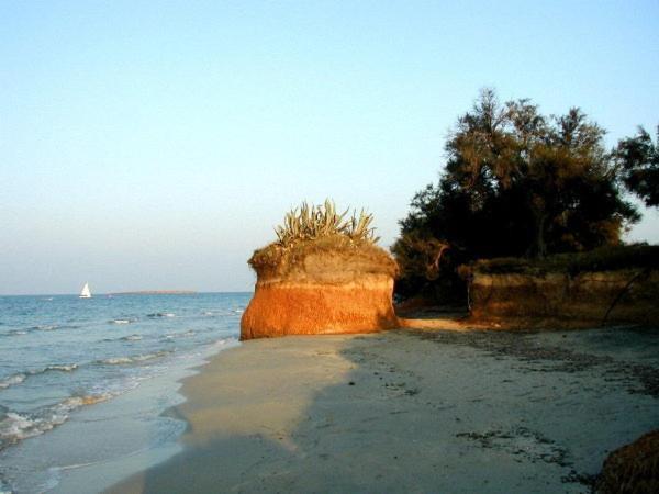 Azienda Agrituristica Masseria Campi ซานวีโต เดย์ นอร์มานนี ภายนอก รูปภาพ