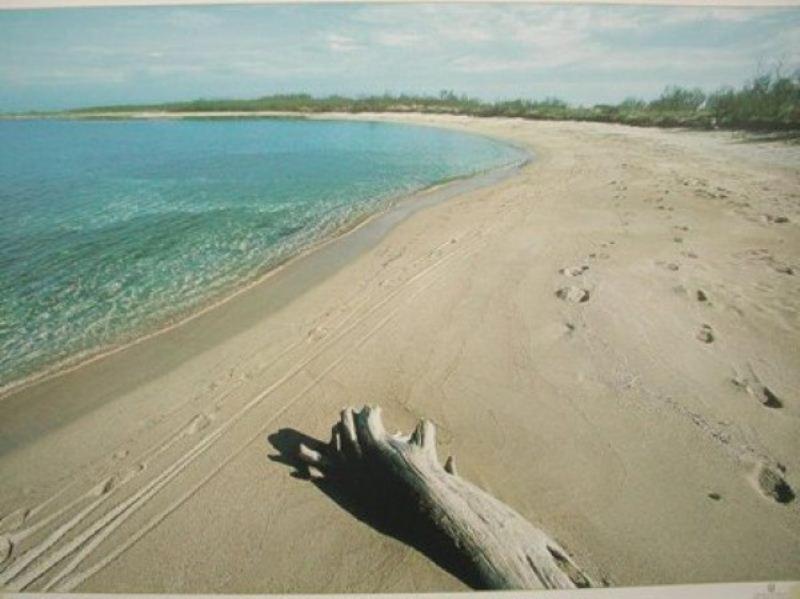 Azienda Agrituristica Masseria Campi ซานวีโต เดย์ นอร์มานนี ภายนอก รูปภาพ